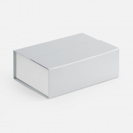 Коробка Bicolor Case, белая с серым