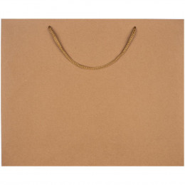 Пакет бумажный Plat L, крафт