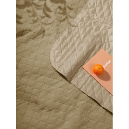 Плед для пикника Soft & Dry, бежевый