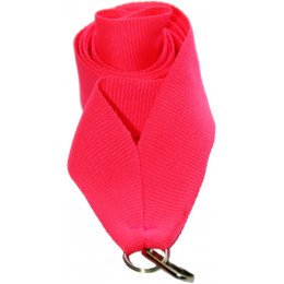 Лента (шир.22 мм) V2-NPINK