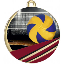 Медаль MMC5051/G/VOL